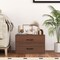 Costway 2-Drawer Stackable Organizer Horizontal Storage Cabinet Dresser Chest White\ Espresso
